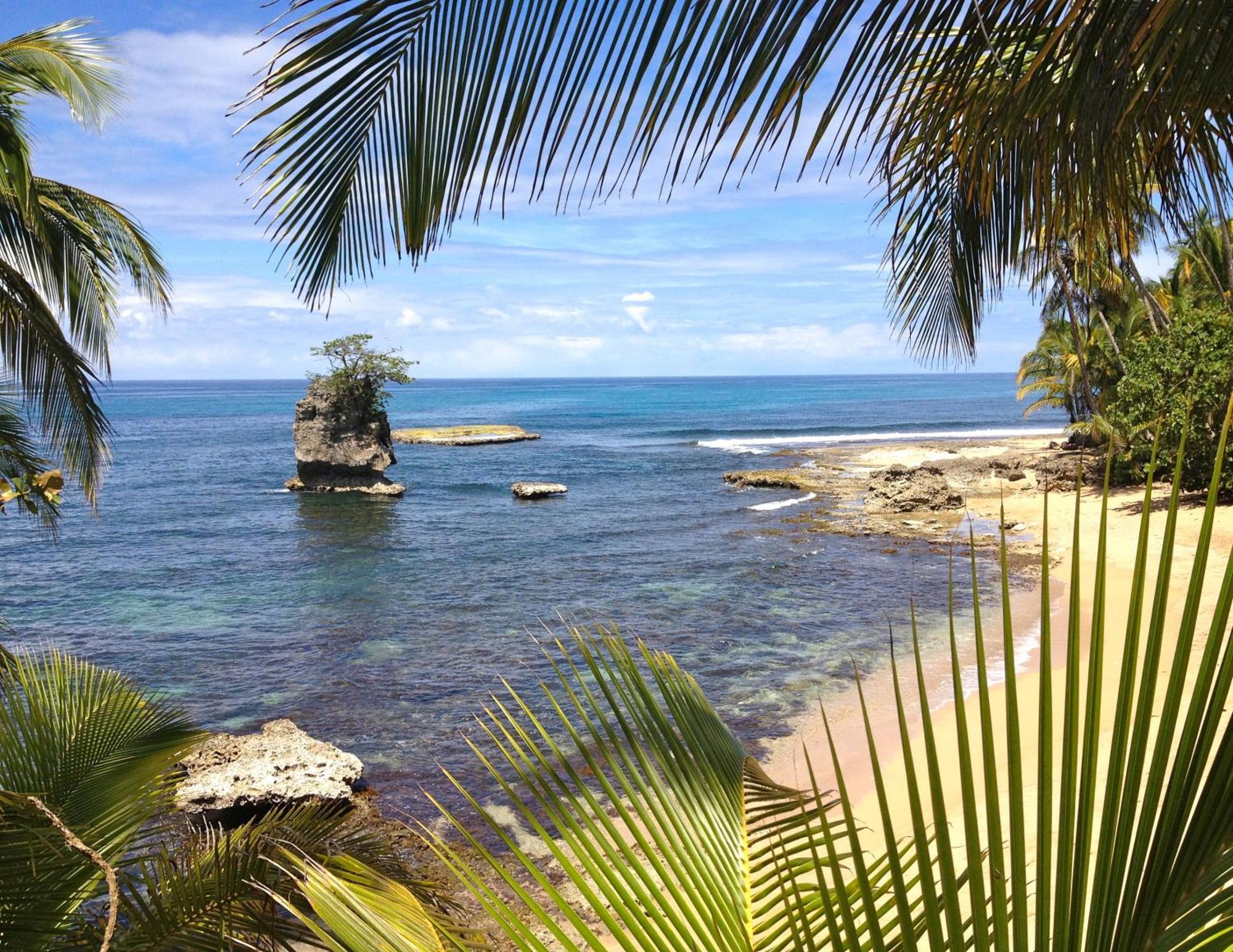 Physis Caribbean Bed & Breakfast Puerto Viejo de Talamanca Esterno foto