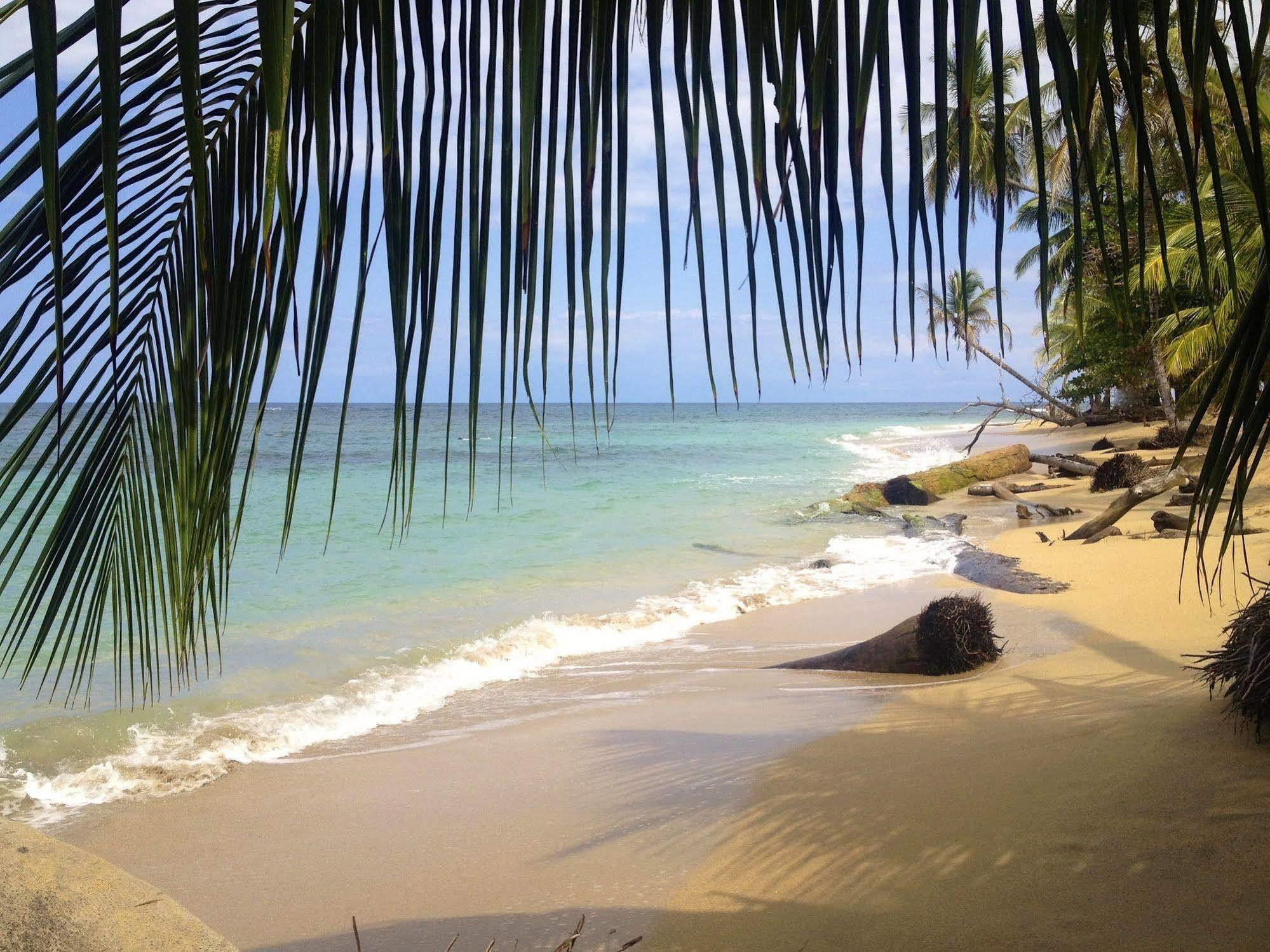 Physis Caribbean Bed & Breakfast Puerto Viejo de Talamanca Esterno foto