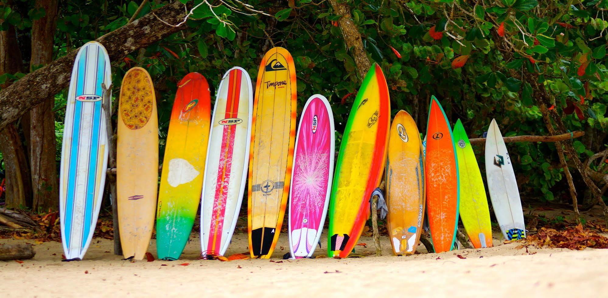 Physis Caribbean Bed & Breakfast Puerto Viejo de Talamanca Esterno foto